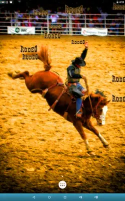 Rodeo Live Wallpaper android App screenshot 5